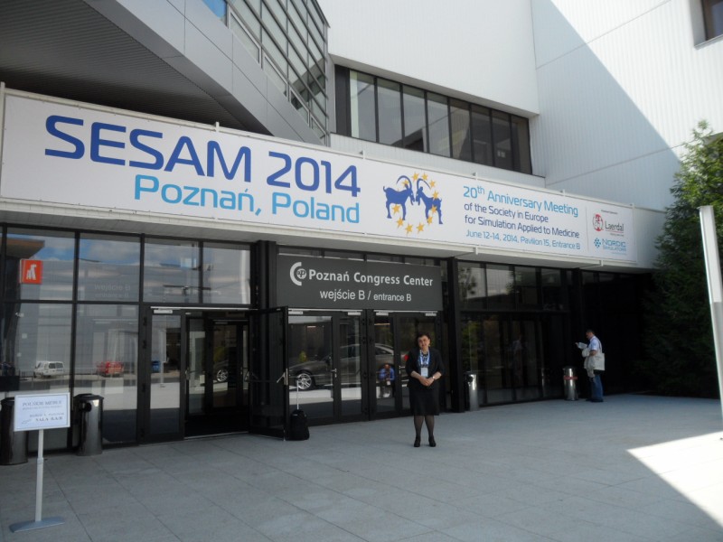 SESAM 20th Anniversary Meeting of the Society in Europe for Simulation Applied to Medicine 