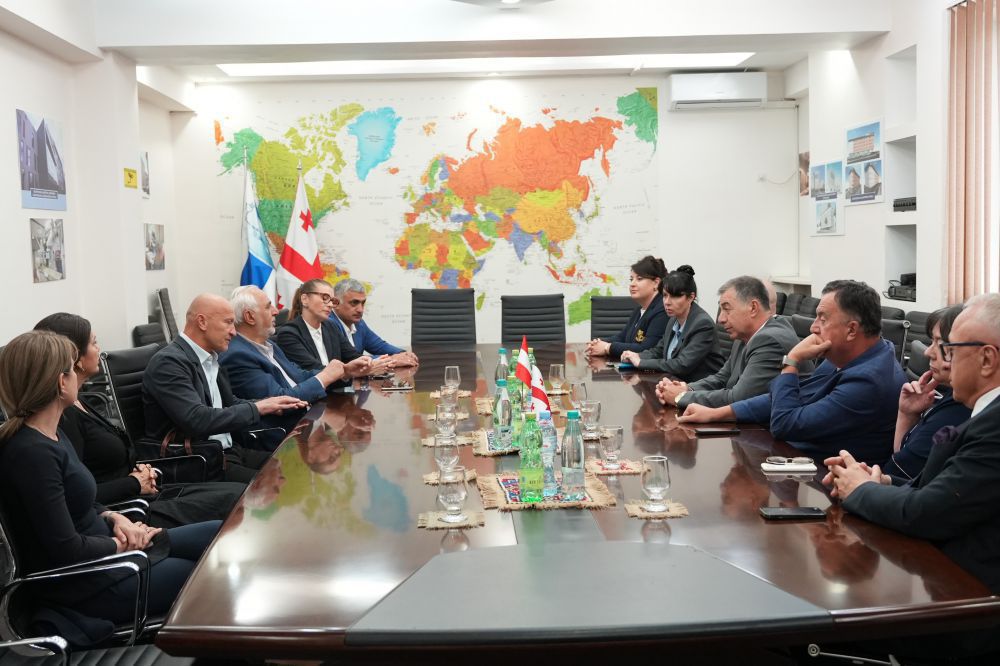 ვენის უნივერსიტეტის პროფესორების ვიზიტი თსსუ-ში